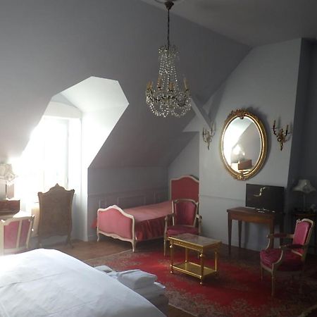 Castel De La Comtesse Bed & Breakfast บลัวส์ ภายนอก รูปภาพ