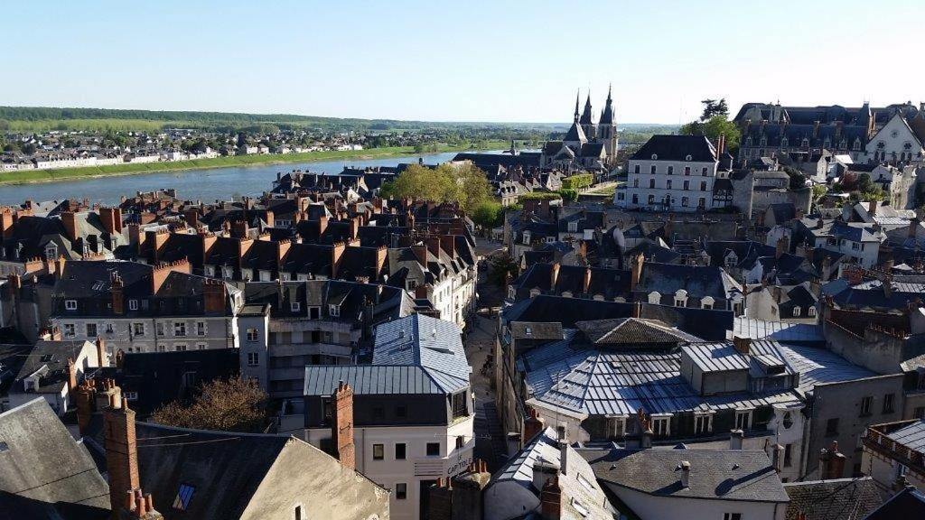 Castel De La Comtesse Bed & Breakfast บลัวส์ ภายนอก รูปภาพ